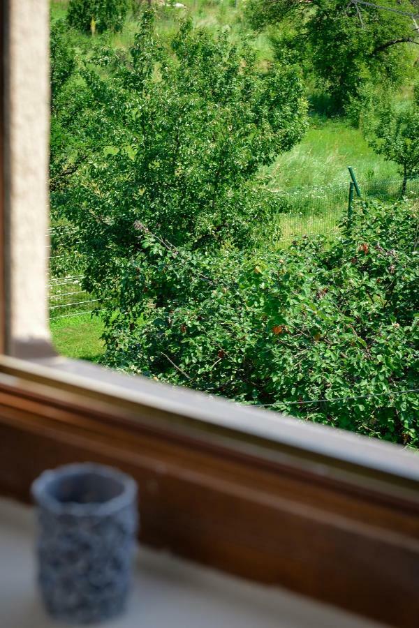 Apartman Filip Novi Pazar Bagian luar foto